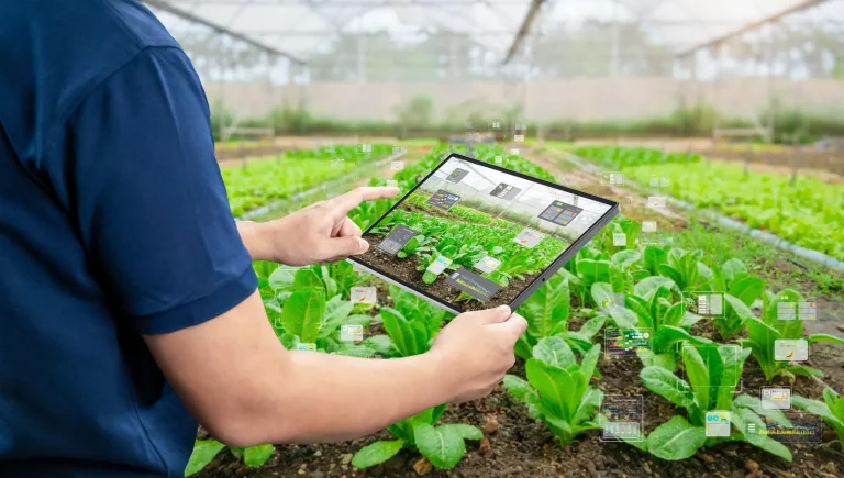 Person in a blue shirt holding a tablet over crop beds in a greenhouse