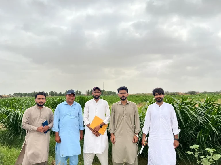 Five men standing together in a green crop field under a cloudy sky