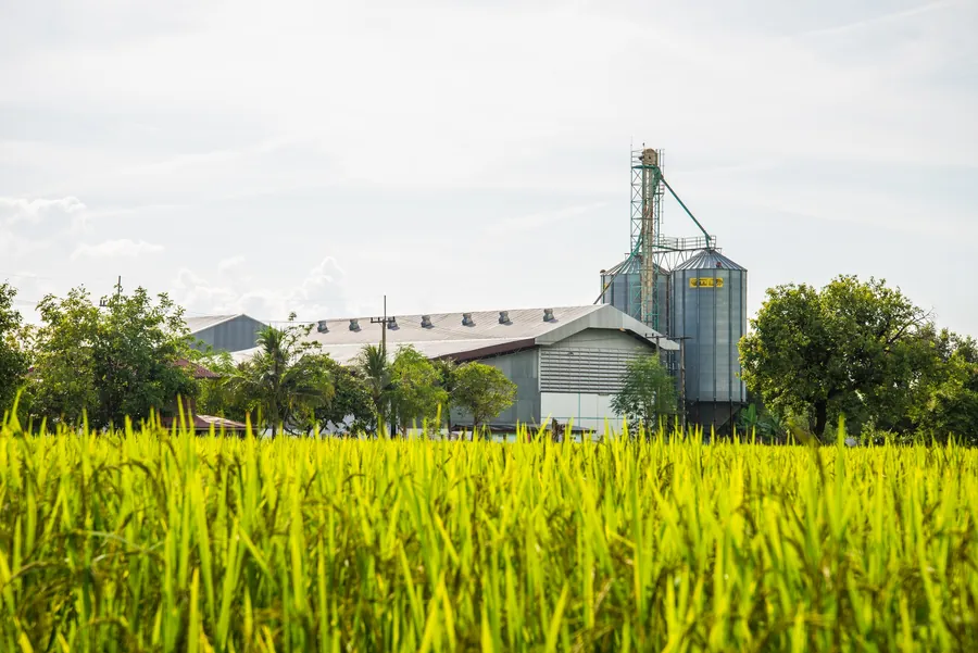 Grain silo and processing plant beside a rice field