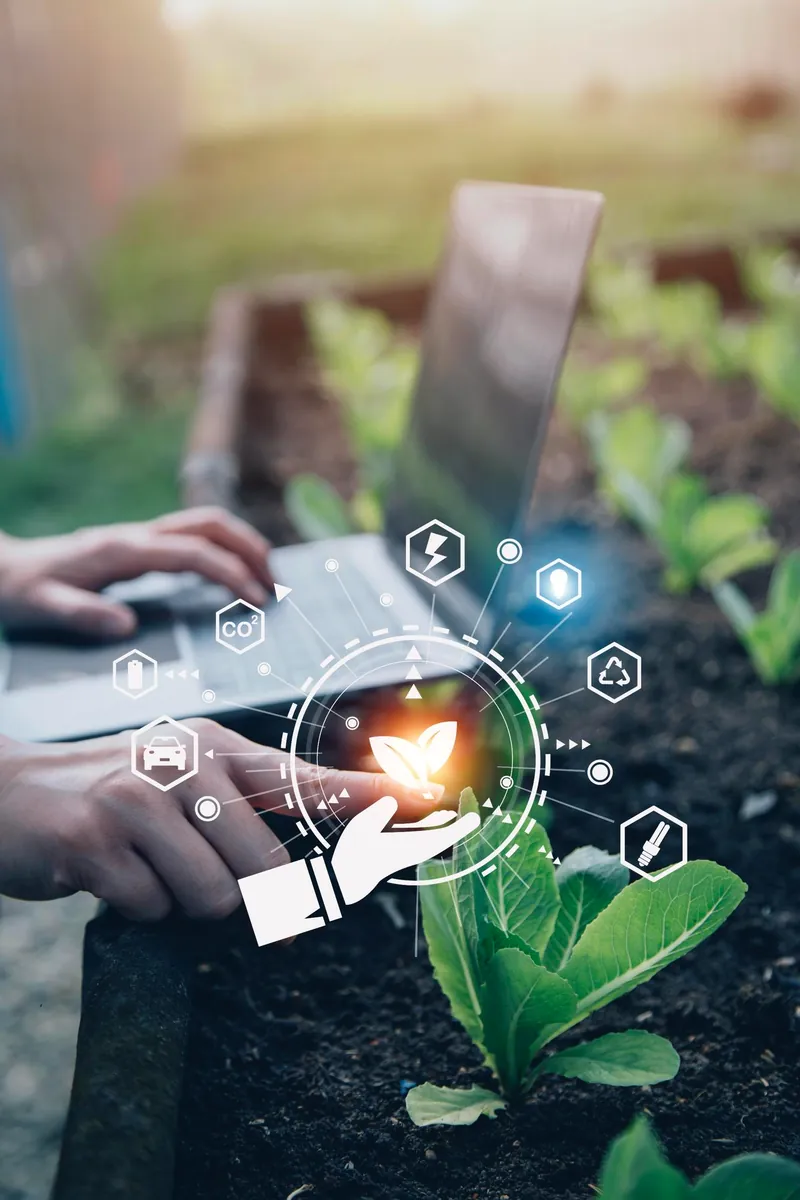 Hand holding a young plant over a digital data interface